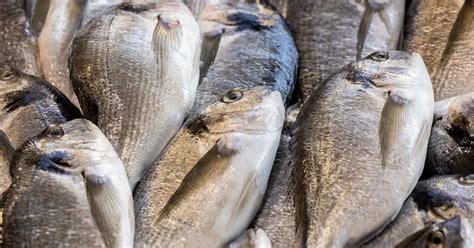 Sea Bream: The Fish That’s Good for Your Whole Body.